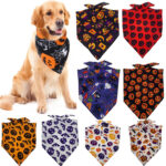 Pet Drool & Triangle Scarf Towel