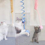 Interactive Cat Spring Rabbit Toy