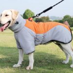 Waterproof Winter Dog Coat for Medium & Large Dogs